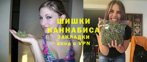 apvp Алзамай