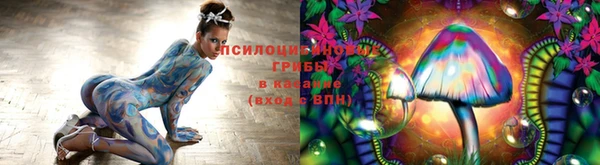 apvp Алзамай