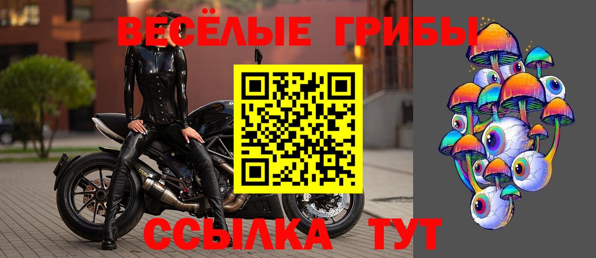 Георгиевск  Галлюциногенные грибы мухоморы  Вход с VPN 